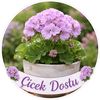 cicek1dostu