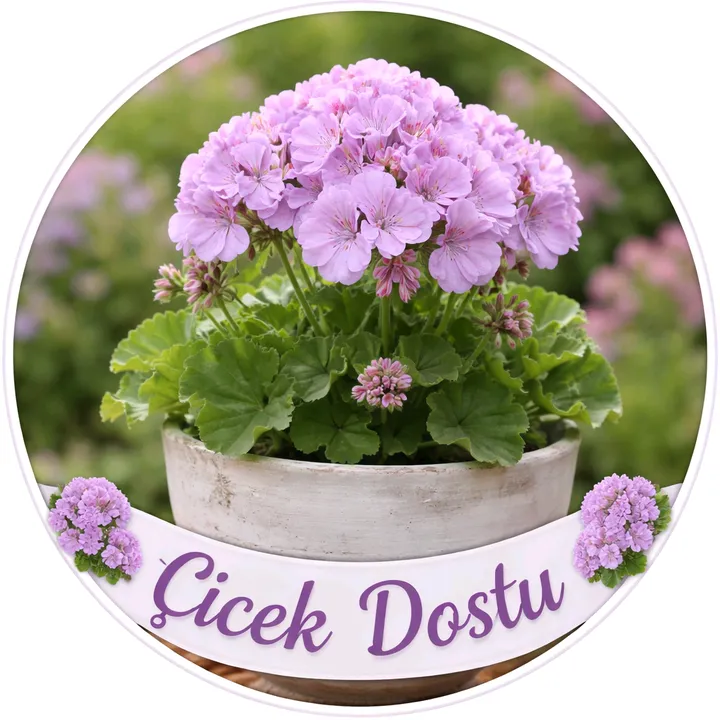 cicek1dostu