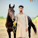 @chzafirjajja0