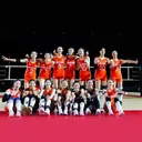@volleyballchina