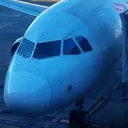 @bielzinaviation