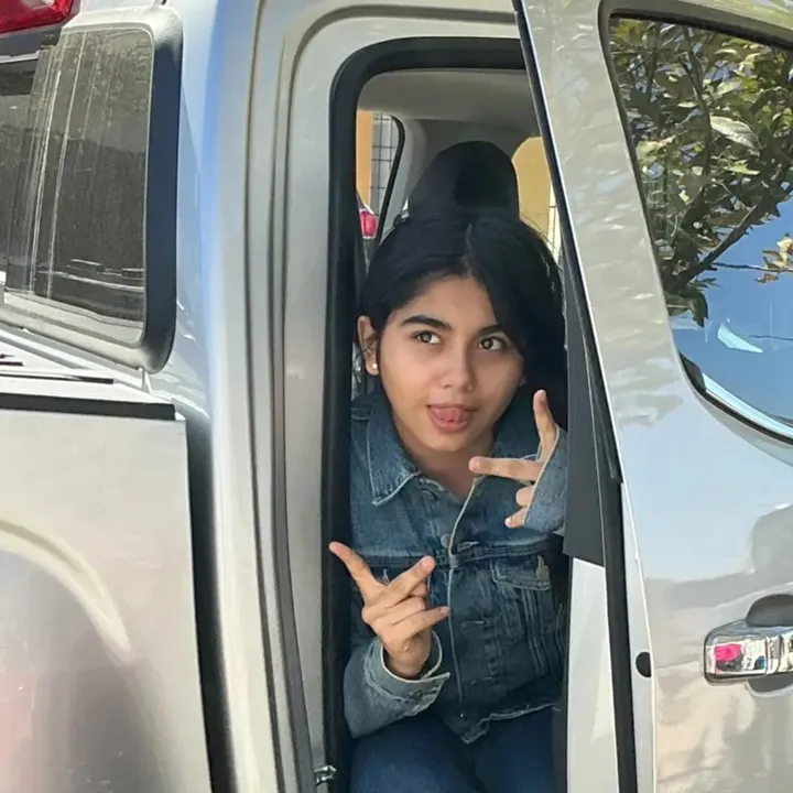 karlabricen3