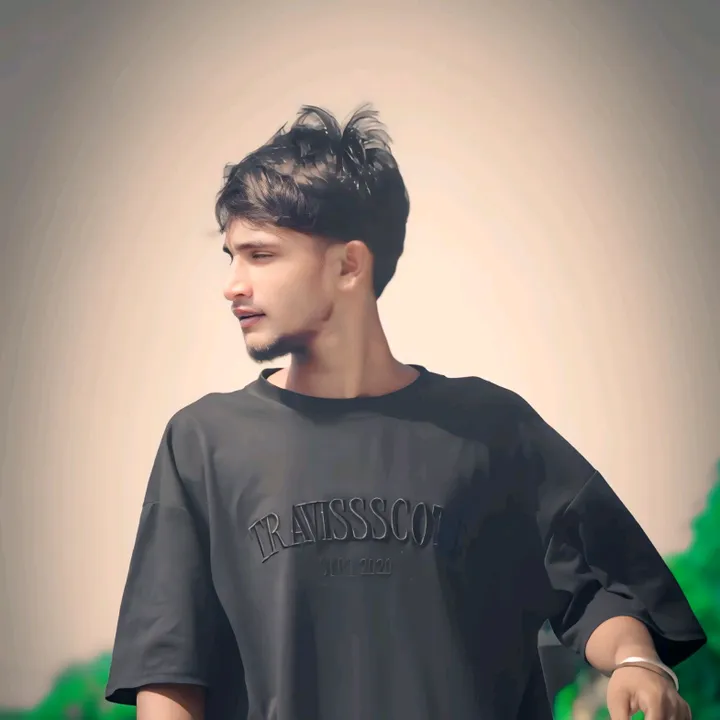 raja.raut.pal
