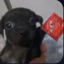 @sam.idk88