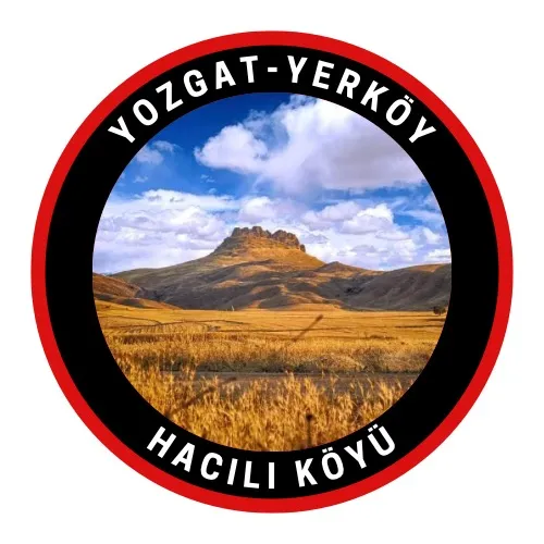 yrkyhacilikoyu