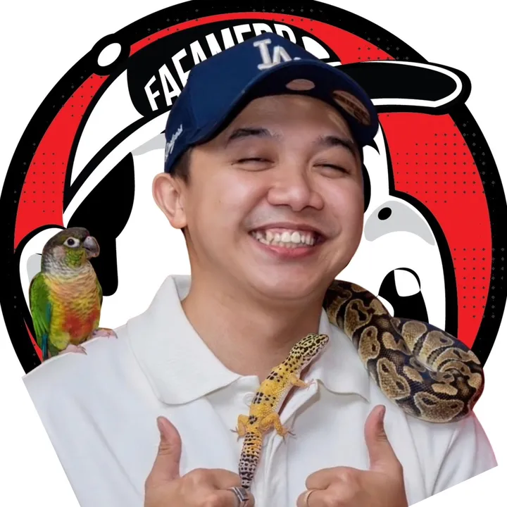 fafamerr