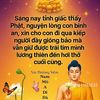 khng.c.tn698