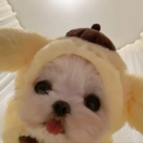 @raeshoph