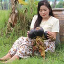 @user426145801