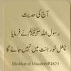 hammadrajput404