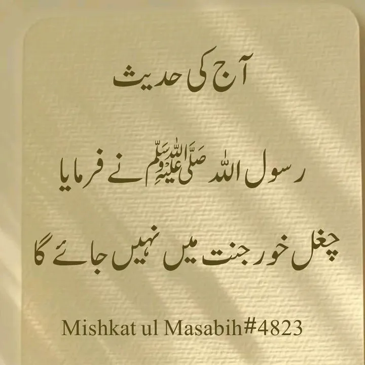 @hammadrajput404