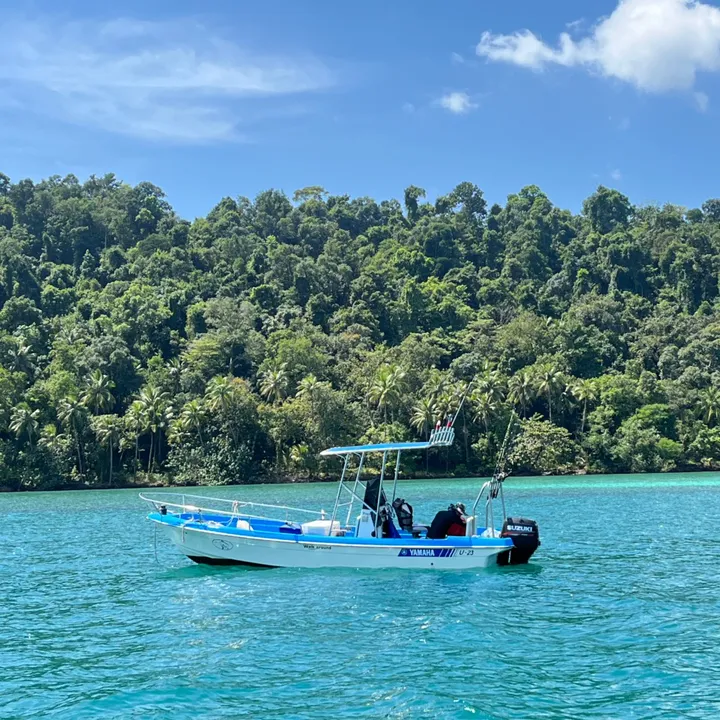 ponbestboat