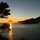 @angoo252