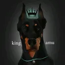 @king_amu_
