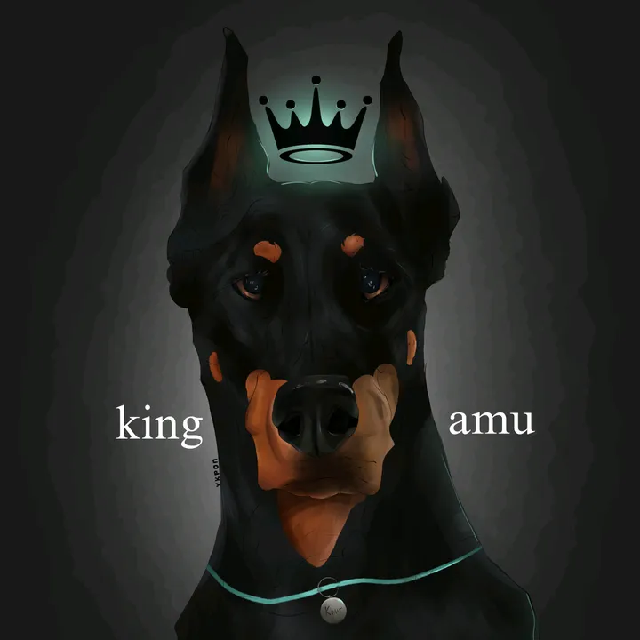 @king_amu_