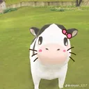 @._no2_
