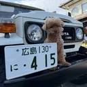 @j1n_lancru415
