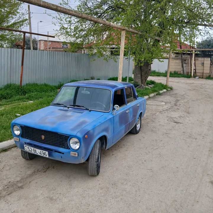 memmedov4966
