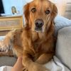 delilah.thegoldengirl