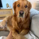 @delilah.thegoldengirl