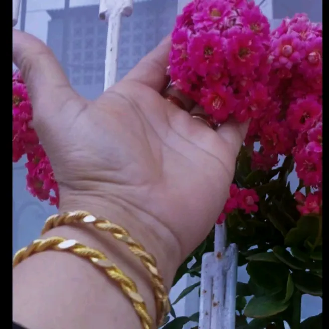 hanimaga01_