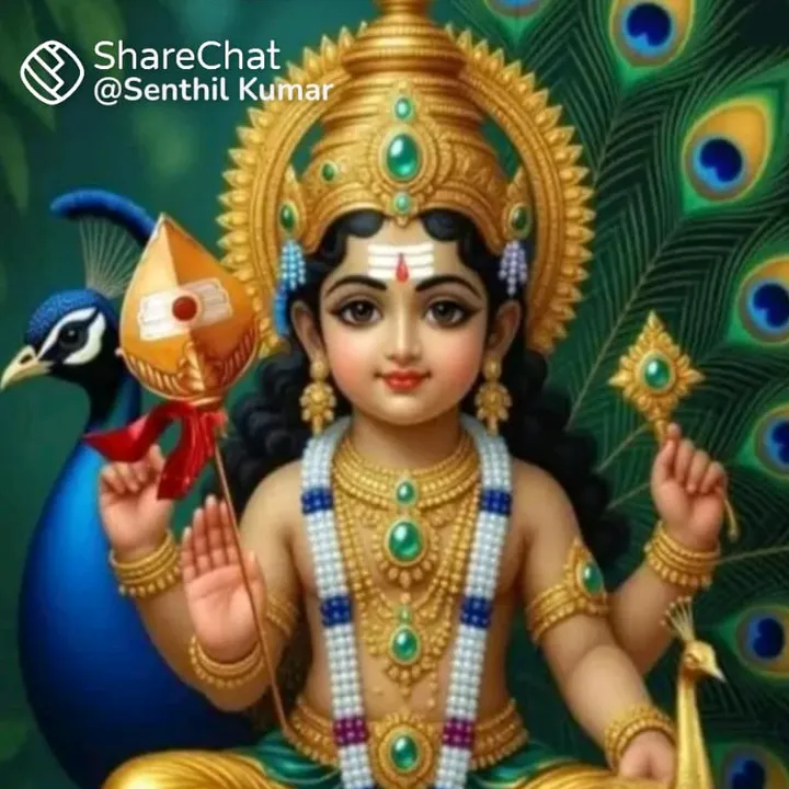 paranjothi463