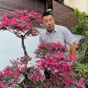 @limauboy
