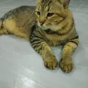@aisyahsamarinda1991