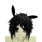 yokucat