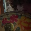 @kitaes170
