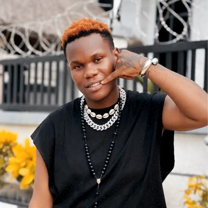 king_reddyboy