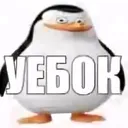@fonikot.hui