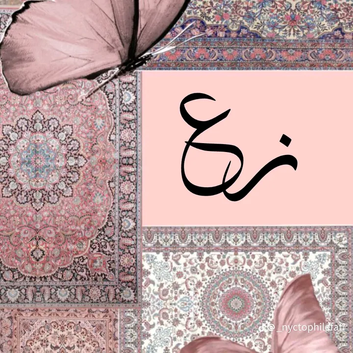 zarqa515