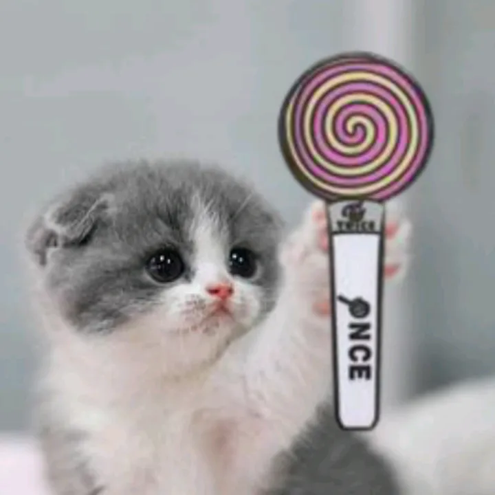 riyiltwice