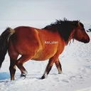 @kh_kaz_ulan
