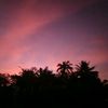 vantrieu.s7