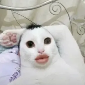 anlllee