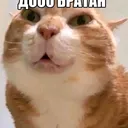 @kakawka907