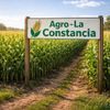 la.constancia.2025