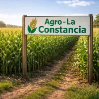 @la.constancia.2025