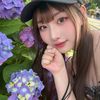 sakura_ko3939