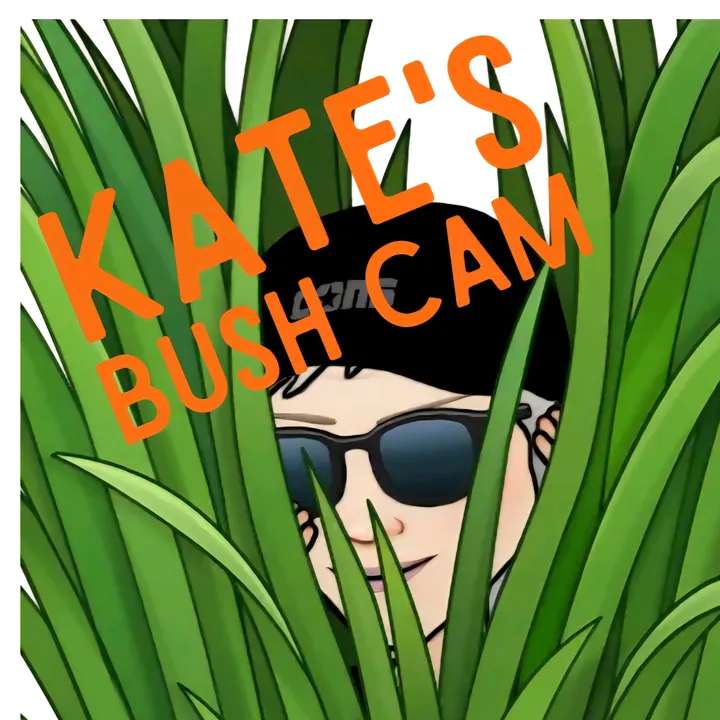 kates_bushcam
