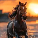 @everest_cowboy