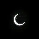 @robisongs1