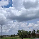 @tanpanama9001