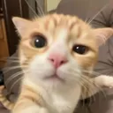 @kxngkhwan