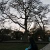 sameekshaa__aryal