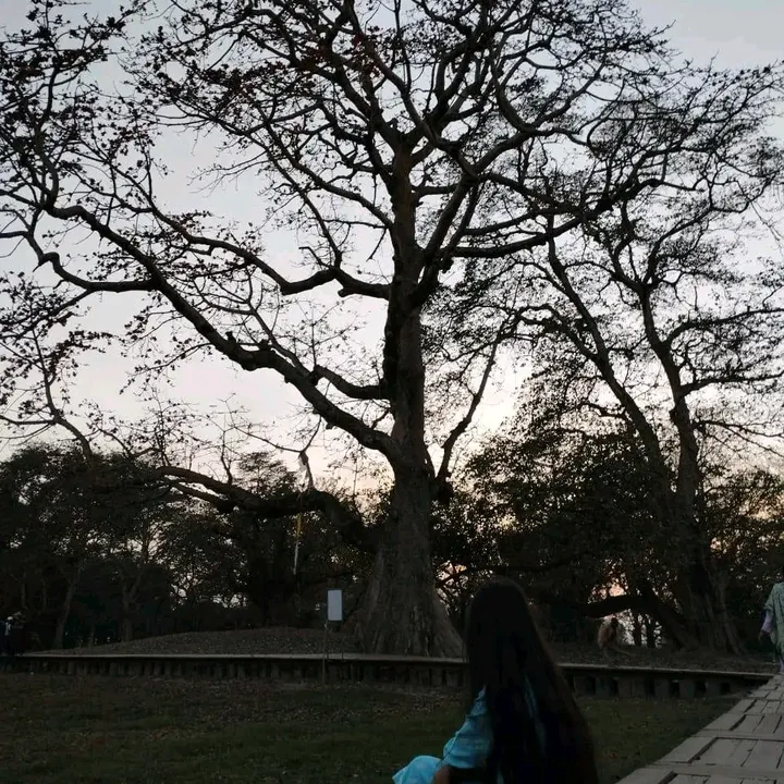 @sameekshaa__aryal