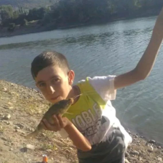 @ahmetcan6668