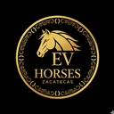@evhorseszac